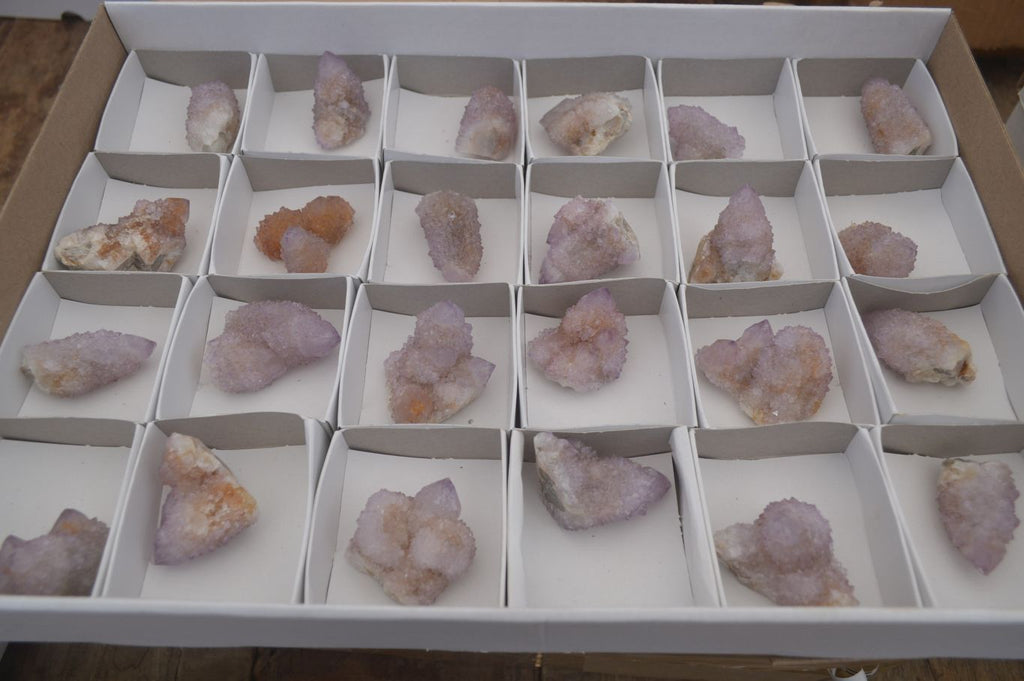 Natural Ametrine Spirit Quartz Clusters x 24 From Boekenhouthoek, South Africa - Toprock Gemstones and Minerals 