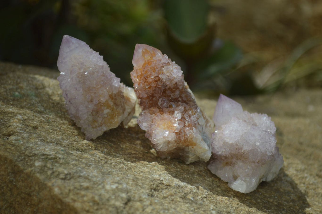 Natural Ametrine Spirit Quartz Clusters x 24 From Boekenhouthoek, South Africa - Toprock Gemstones and Minerals 