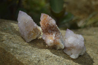 Natural Ametrine Spirit Quartz Clusters x 24 From Boekenhouthoek, South Africa