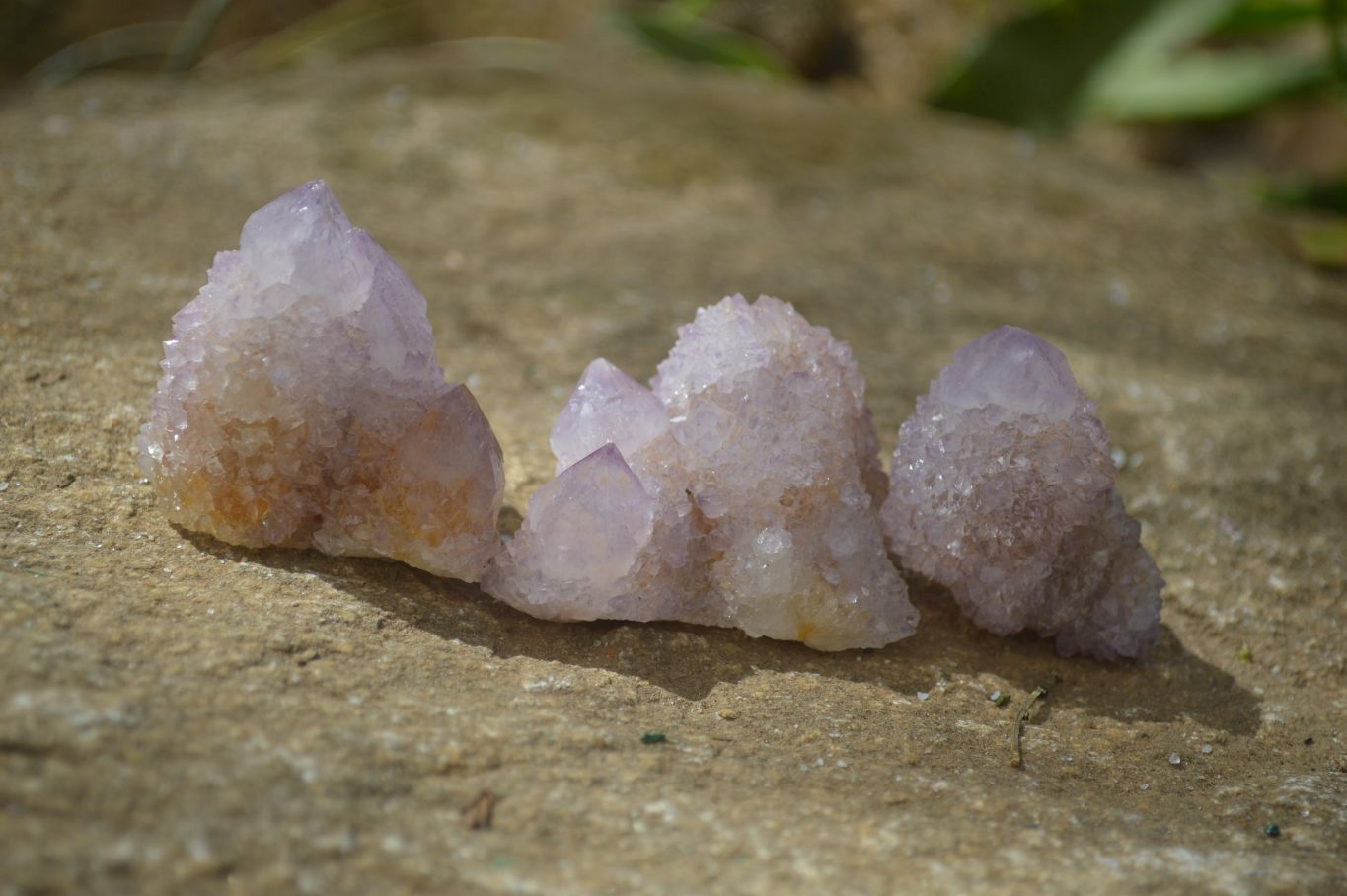 Natural Ametrine Spirit Quartz Clusters x 24 From Boekenhouthoek, South Africa - Toprock Gemstones and Minerals 