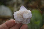 Natural Ametrine Spirit Quartz Clusters x 24 From Boekenhouthoek, South Africa - Toprock Gemstones and Minerals 
