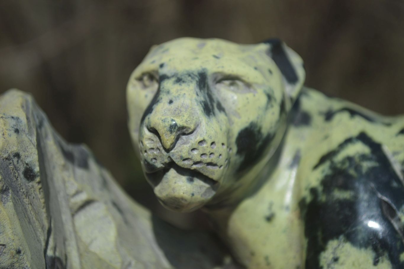 Polished Leopard Stone Leopard Carving x 1 From Zimbabwe - Toprock Gemstones and Minerals 