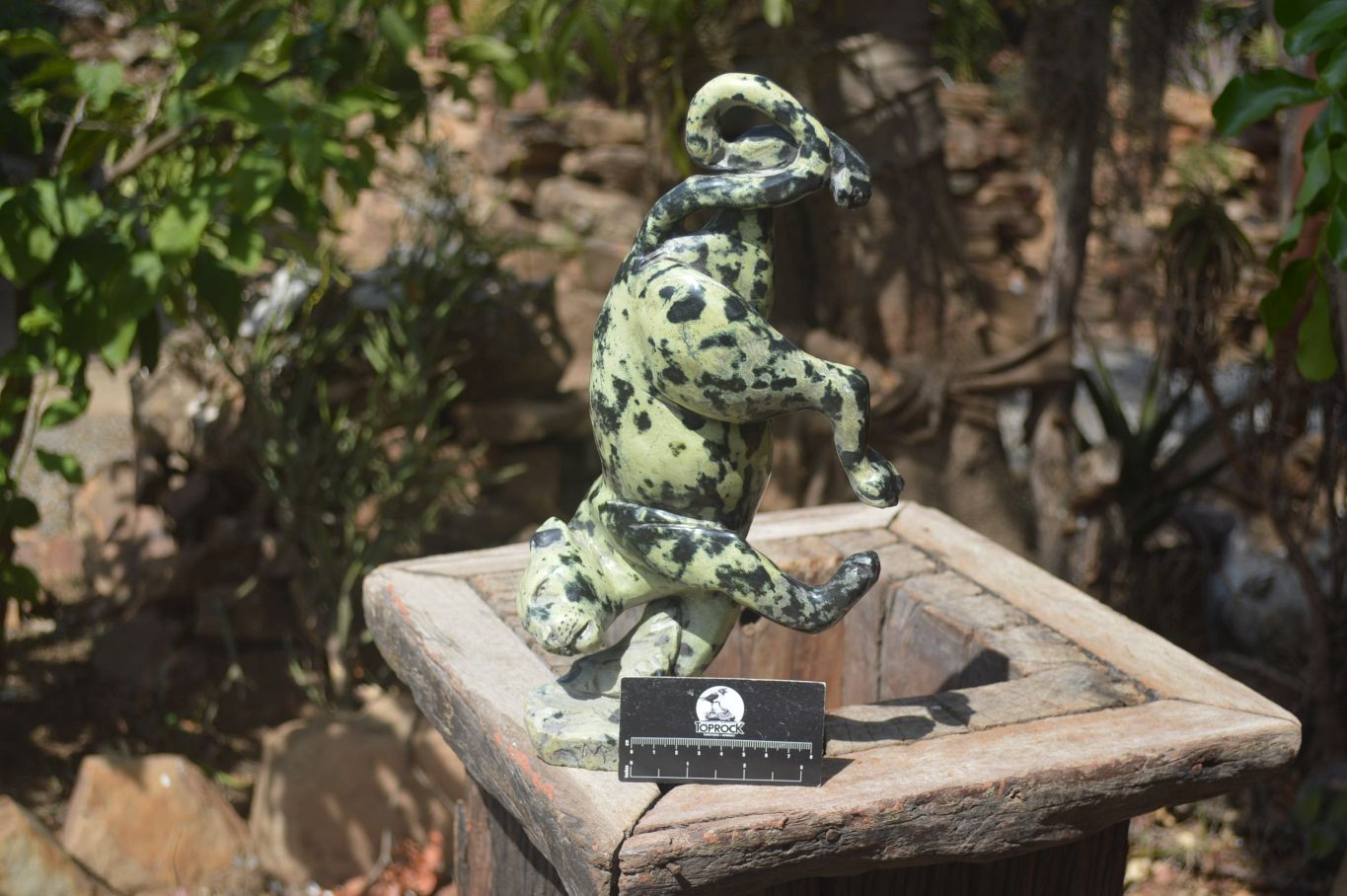 Polished Leopard Stone Leopard Carving x 1 From Zimbabwe - Toprock Gemstones and Minerals 