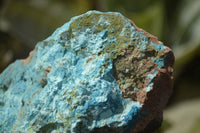 Natural Shattuckite Specimens x 4 From Kaokoveld, Namibia - Toprock Gemstones and Minerals 