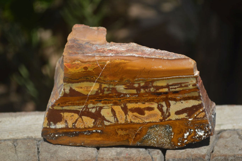 Polished On One Side Nguni Jasper Specimens x 2 From Prieska, South Africa - Toprock Gemstones and Minerals 