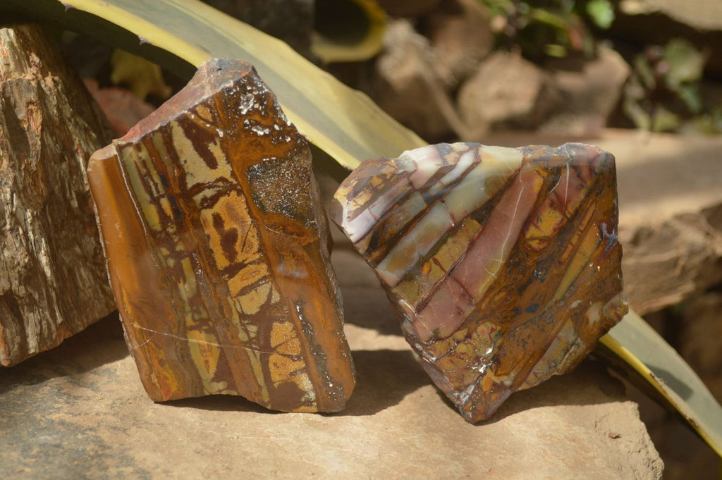 Polished On One Side Nguni Jasper Specimens x 2 From Prieska, South Africa - Toprock Gemstones and Minerals 