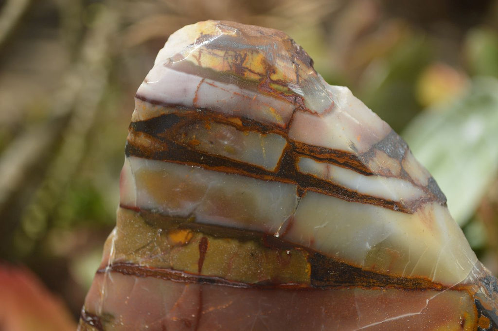 Polished On One Side Nguni Jasper Specimens x 2 From Prieska, South Africa - Toprock Gemstones and Minerals 