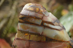 Polished On One Side Nguni Jasper Specimens x 2 From Prieska, South Africa - Toprock Gemstones and Minerals 