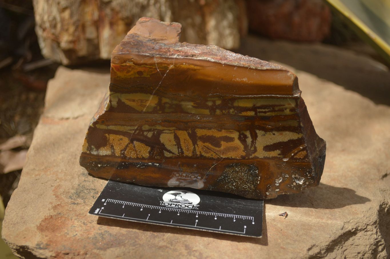 Polished On One Side Nguni Jasper Specimens x 2 From Prieska, South Africa - Toprock Gemstones and Minerals 