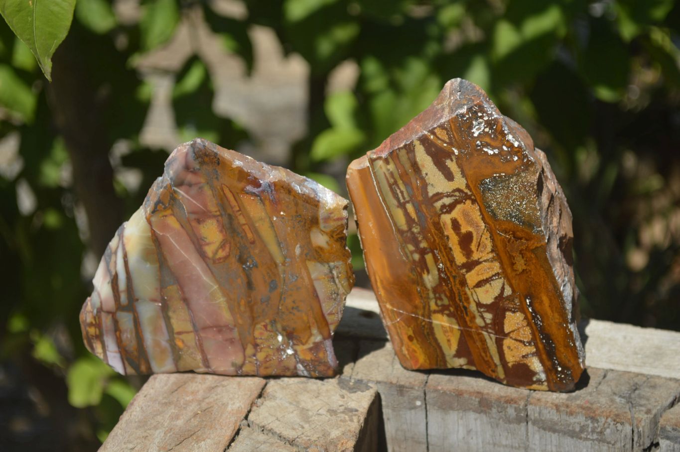 Polished On One Side Nguni Jasper Specimens x 2 From Prieska, South Africa - Toprock Gemstones and Minerals 