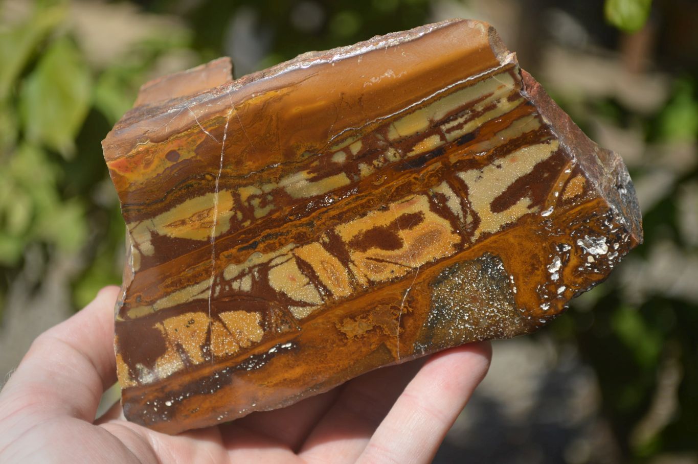 Polished On One Side Nguni Jasper Specimens x 2 From Prieska, South Africa - Toprock Gemstones and Minerals 