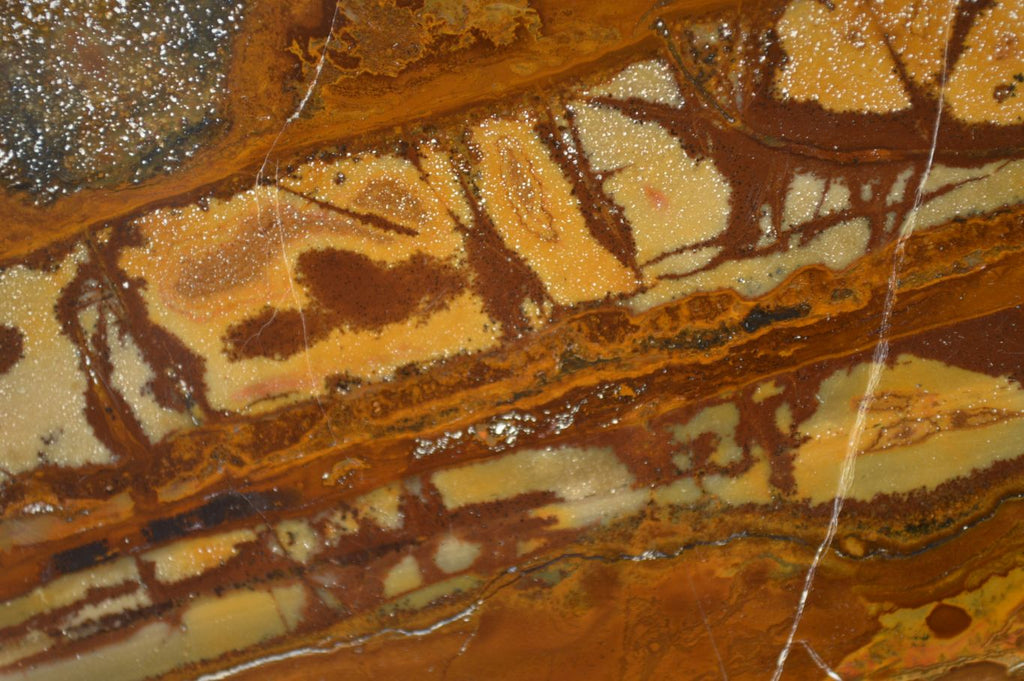 Polished On One Side Nguni Jasper Specimens x 2 From Prieska, South Africa - Toprock Gemstones and Minerals 