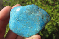 Polished Shattuckite Free Forms x 7 From Kaokoveld, Namibia - Toprock Gemstones and Minerals 
