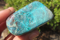 Polished Shattuckite Free Forms x 7 From Kaokoveld, Namibia - Toprock Gemstones and Minerals 