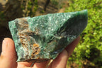 Natural Jade Cobbed Specimens x 12 From Swaziland - Toprock Gemstones and Minerals 