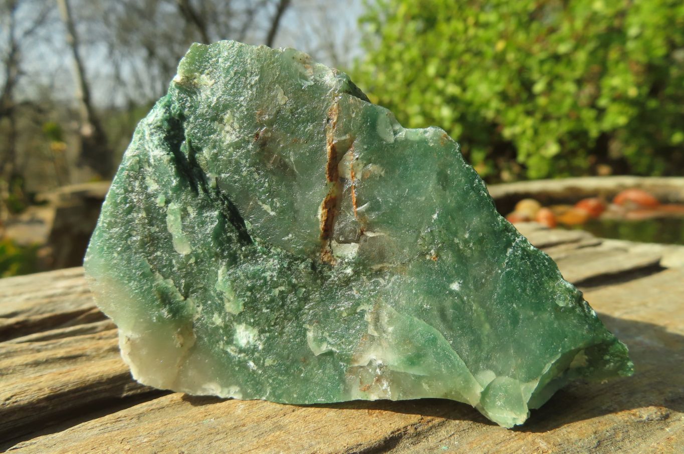 Natural Jade Cobbed Specimens x 12 From Swaziland - Toprock Gemstones and Minerals 