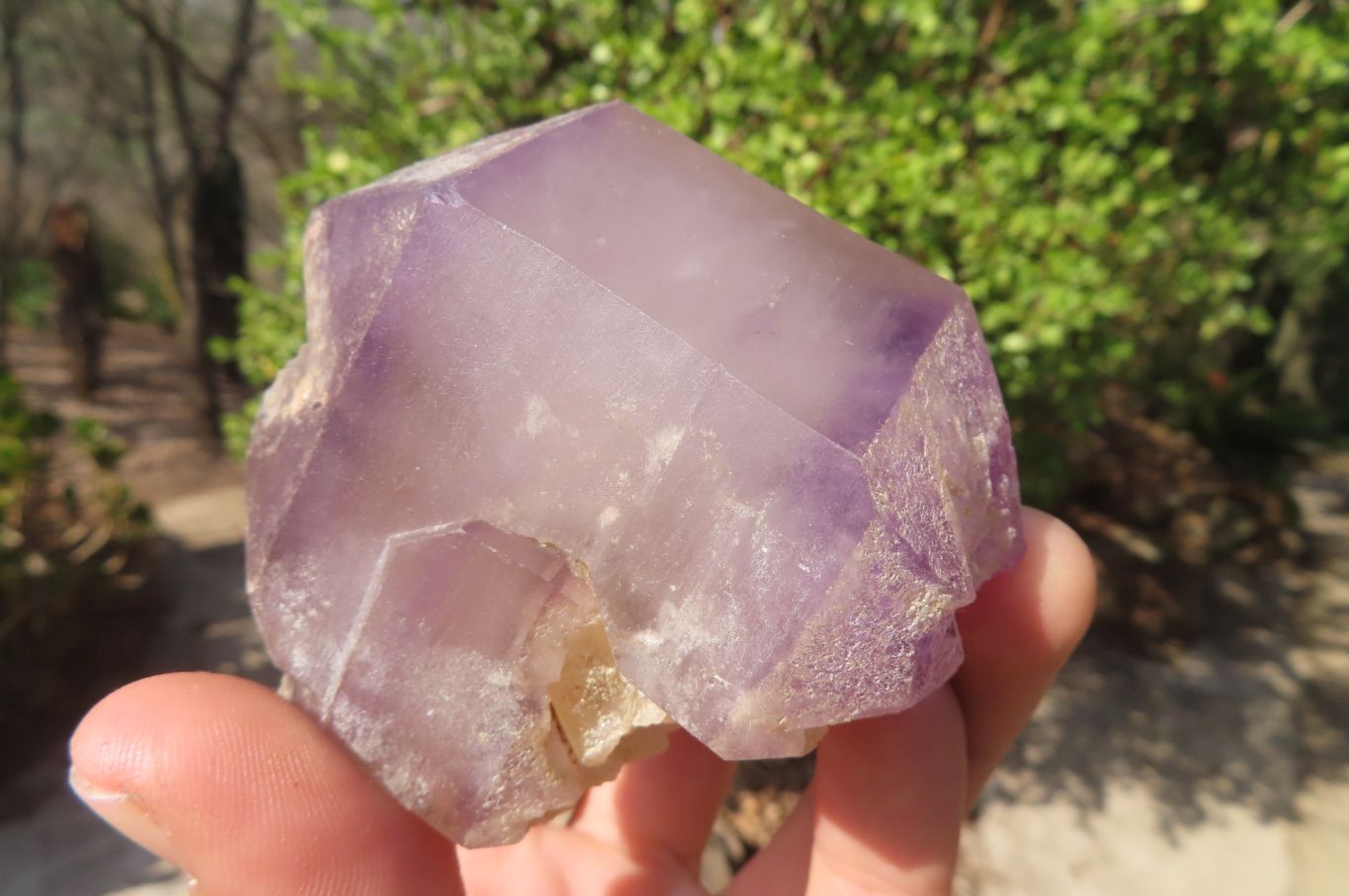 Natural Window Amethyst Crystals x 5 From Ambatondrazaka, Madagascar - Toprock Gemstones and Minerals 