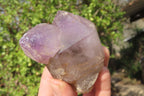 Natural Window Amethyst Crystals x 5 From Ambatondrazaka, Madagascar - Toprock Gemstones and Minerals 