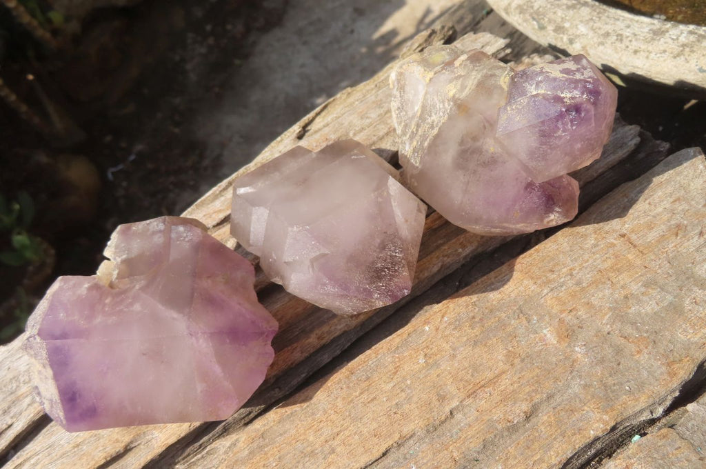 Natural Window Amethyst Crystals x 5 From Ambatondrazaka, Madagascar - Toprock Gemstones and Minerals 