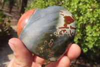 Polished Polychrome Jasper Hearts x 6 From Mahajanga, Madagascar