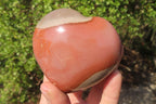 Polished Polychrome Jasper Hearts x 6 From Mahajanga, Madagascar - Toprock Gemstones and Minerals 