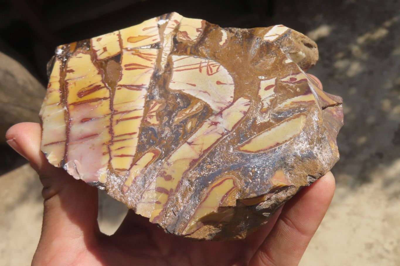 Polished On One Side Nguni Jasper Specimens x 2 From Prieska, South Africa - Toprock Gemstones and Minerals 