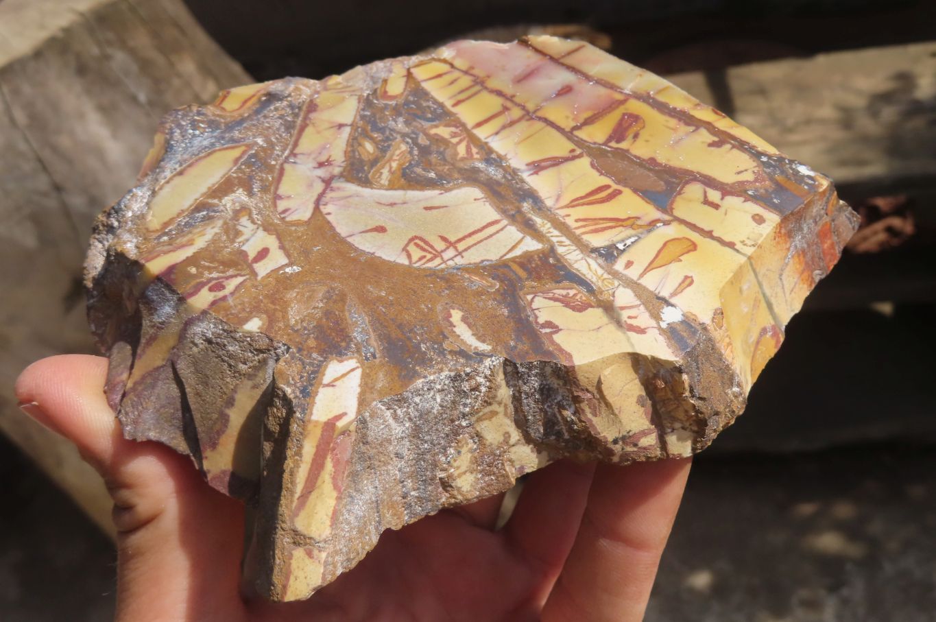 Polished On One Side Nguni Jasper Specimens x 2 From Prieska, South Africa - Toprock Gemstones and Minerals 