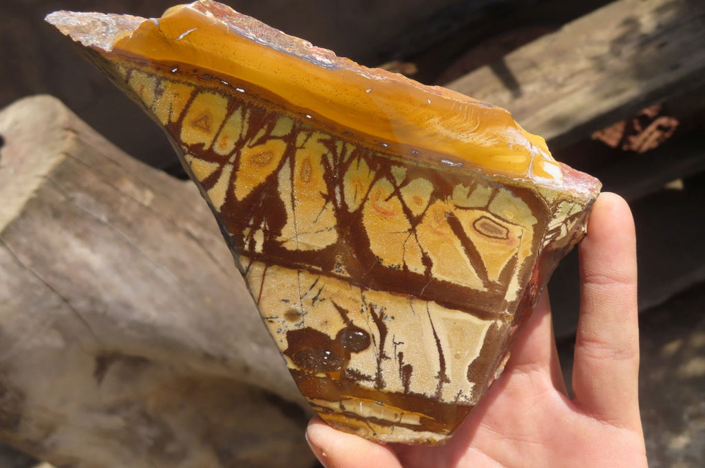 Polished On One Side Nguni Jasper Specimens x 2 From Prieska, South Africa - Toprock Gemstones and Minerals 