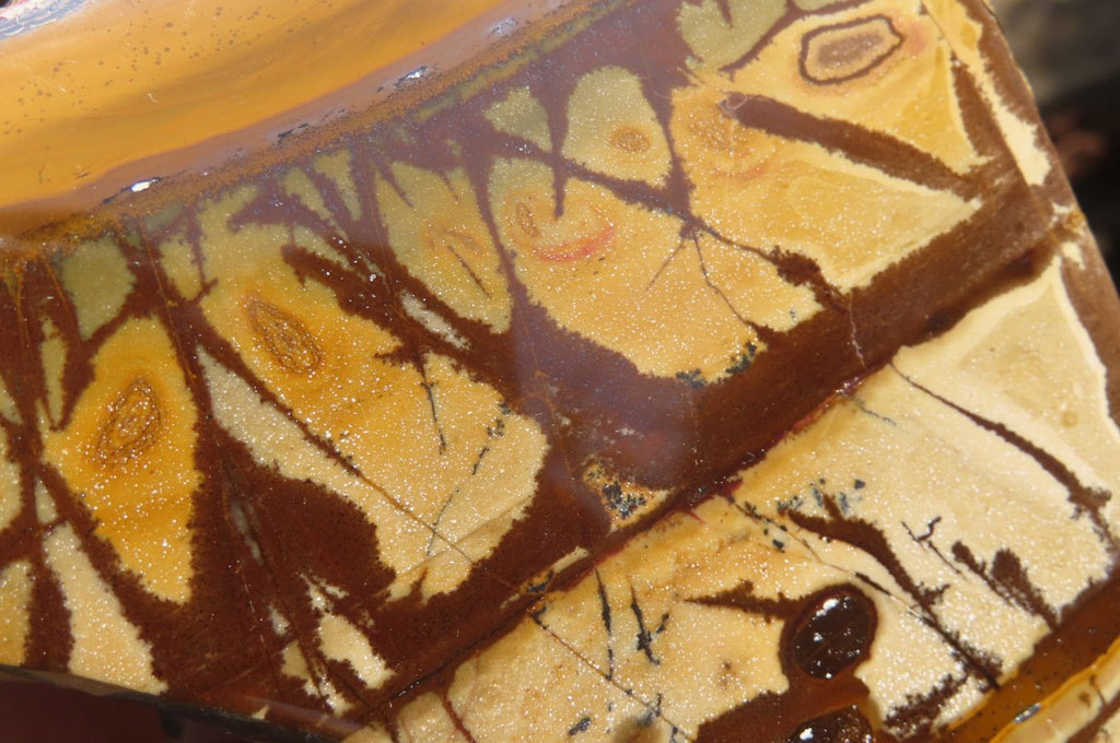 Polished On One Side Nguni Jasper Specimens x 2 From Prieska, South Africa - Toprock Gemstones and Minerals 