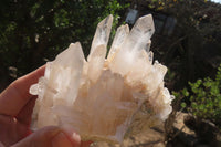 Natural Clear Quartz Clusters x 3 From Ambatofinandrahana, Madagascar - Toprock Gemstones and Minerals 