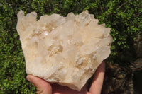 Natural Clear Quartz Clusters x 3 From Ambatofinandrahana, Madagascar - Toprock Gemstones and Minerals 