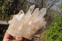 Natural Clear Quartz Clusters x 3 From Ambatofinandrahana, Madagascar - Toprock Gemstones and Minerals 