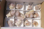Natural Spirit Quartz Clusters x 12 From Boekenhouthoek, South Africa - Toprock Gemstones and Minerals 