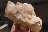 Natural Smokey Quartz Clusters x 6 From Luena, Congo - Toprock Gemstones and Minerals 