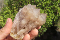 Natural Smokey Quartz Clusters x 6 From Luena, Congo - Toprock Gemstones and Minerals 