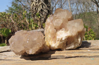 Natural Smokey Quartz Clusters x 6 From Luena, Congo - Toprock Gemstones and Minerals 