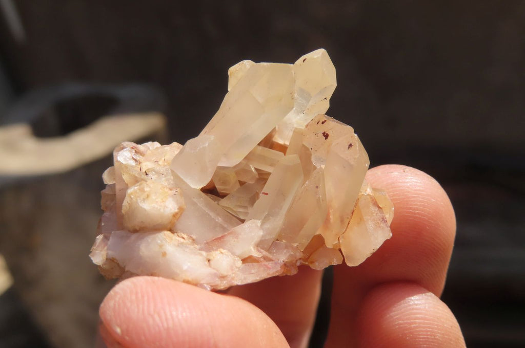 Natural Clear Quartz Crystals x 70 From Madagascar - Toprock Gemstones and Minerals 