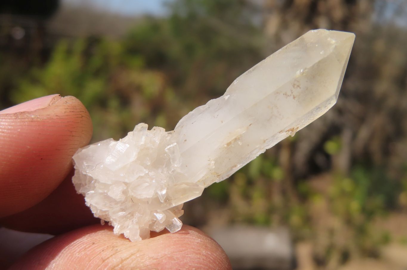 Natural Clear Quartz Crystals x 70 From Madagascar - Toprock Gemstones and Minerals 