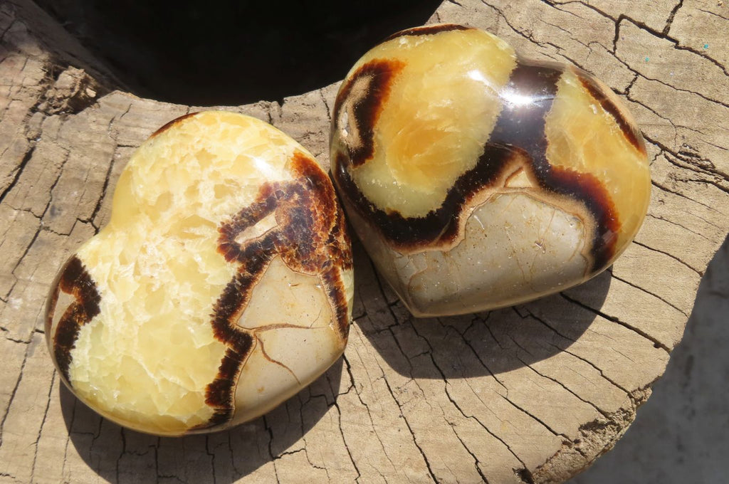 Polished Septerye Hearts x 6 From Mahajanga, Madagascar - Toprock Gemstones and Minerals 