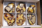 Polished Septerye Hearts x 6 From Mahajanga, Madagascar - Toprock Gemstones and Minerals 