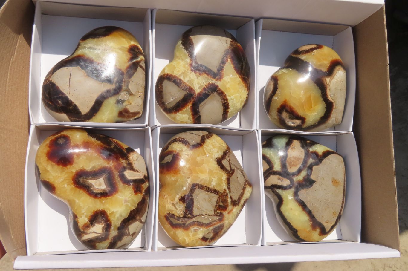 Polished Septerye Hearts x 6 From Mahajanga, Madagascar - Toprock Gemstones and Minerals 
