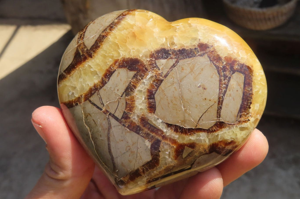 Polished Septerye Hearts x 6 From Mahajanga, Madagascar - Toprock Gemstones and Minerals 