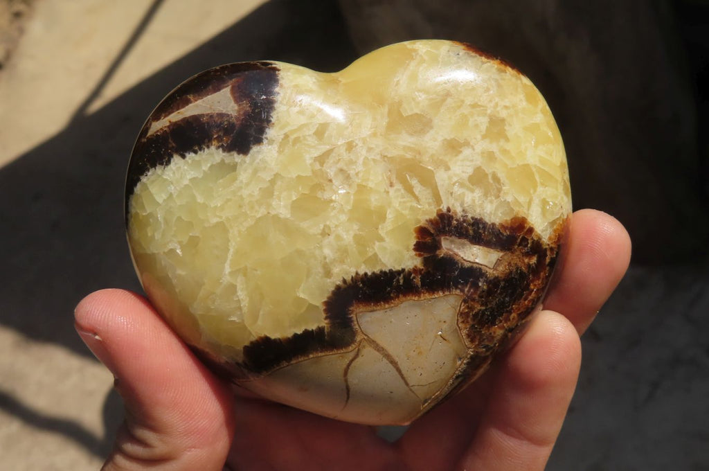 Polished Septerye Hearts x 6 From Mahajanga, Madagascar - Toprock Gemstones and Minerals 