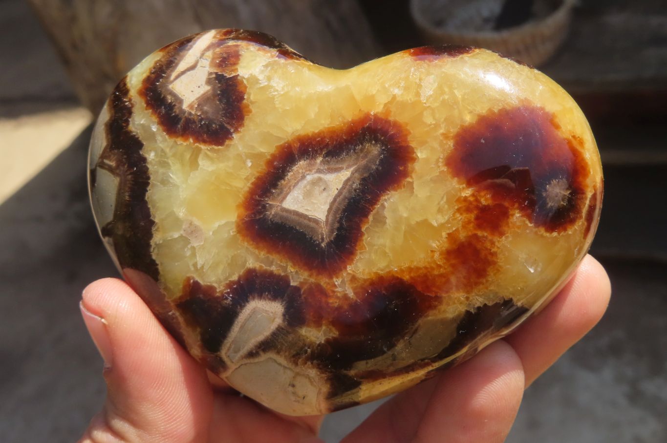 Polished Septerye Hearts x 6 From Mahajanga, Madagascar - Toprock Gemstones and Minerals 
