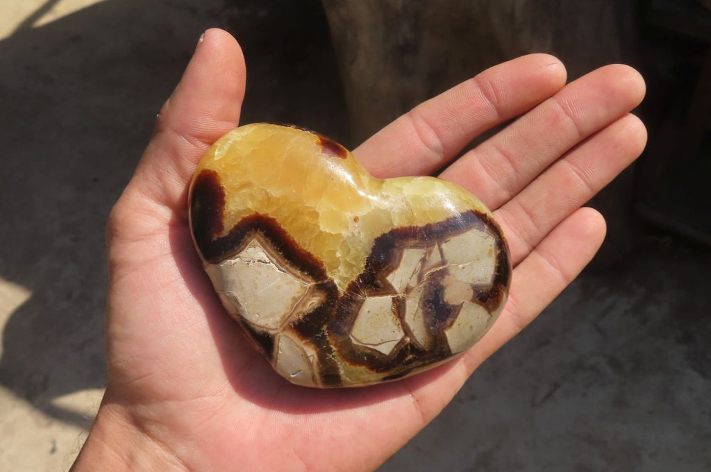 Polished Septerye Hearts x 6 From Mahajanga, Madagascar - Toprock Gemstones and Minerals 