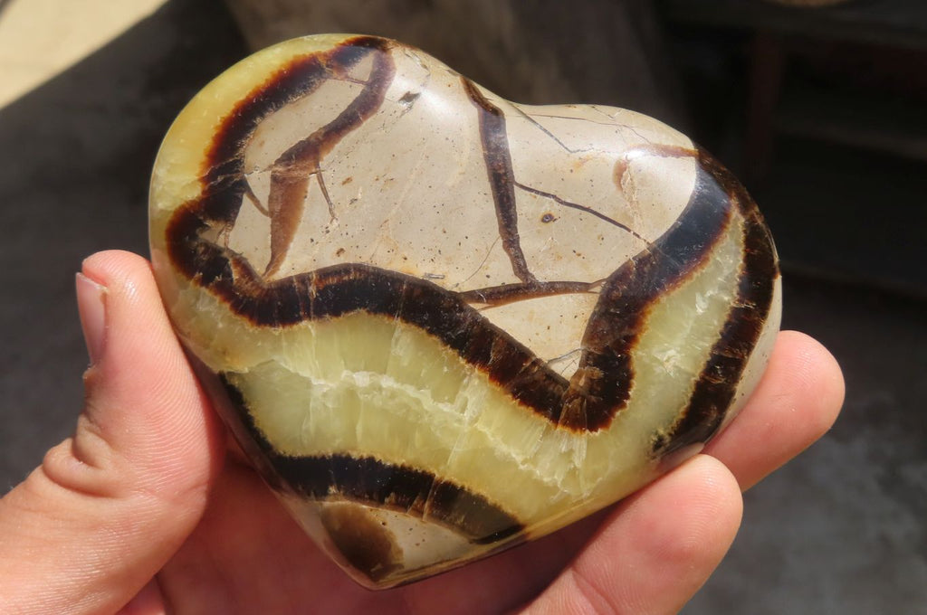Polished Septerye Hearts x 6 From Mahajanga, Madagascar - Toprock Gemstones and Minerals 