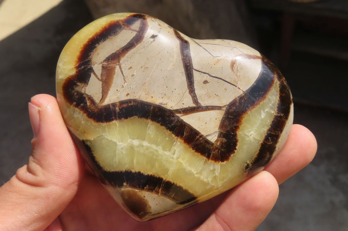 Polished Septerye Hearts x 6 From Mahajanga, Madagascar - Toprock Gemstones and Minerals 