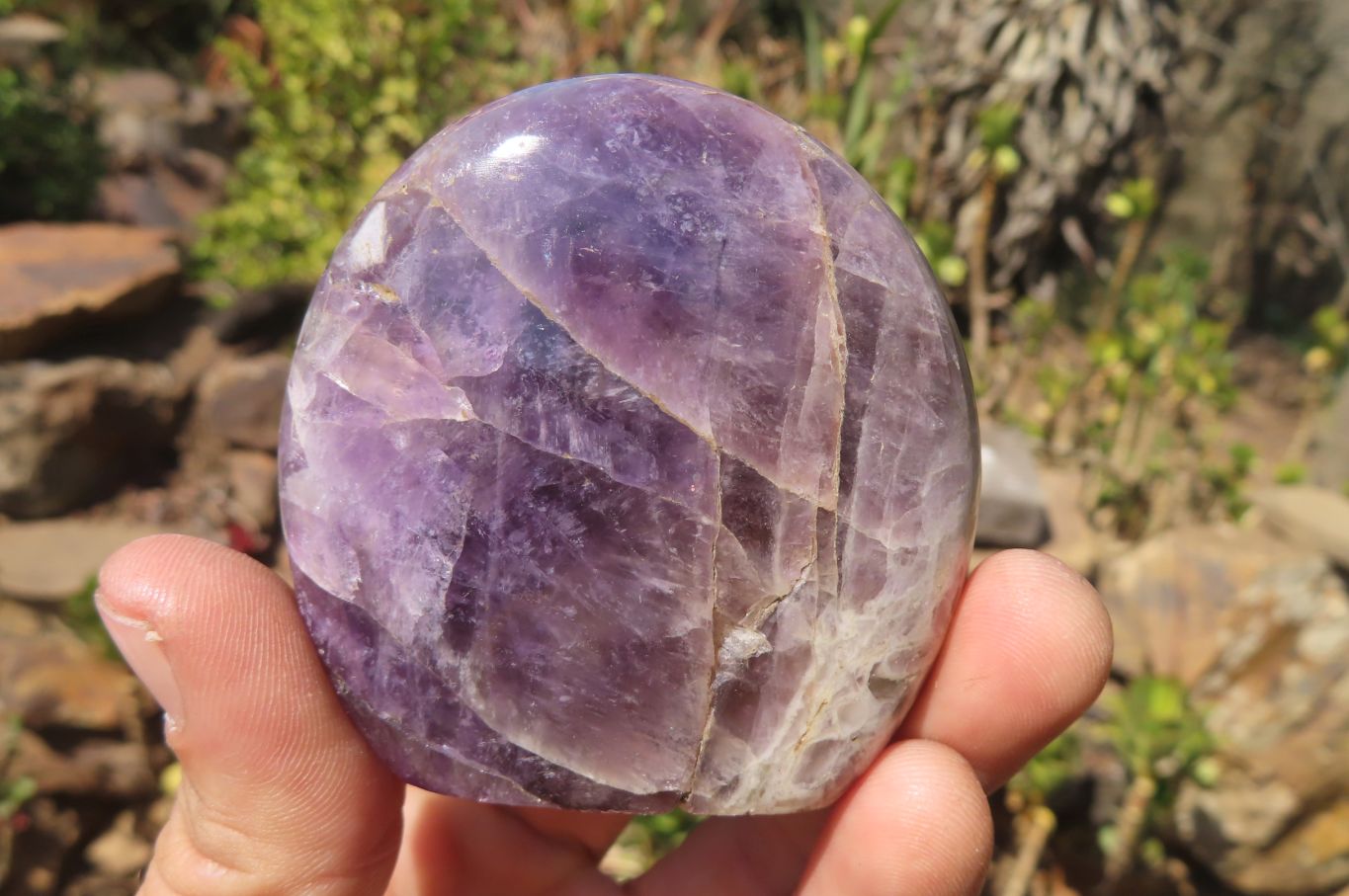 Polished Chevron Amethyst Standing Free Forms x 5 From Madagascar - Toprock Gemstones and Minerals 