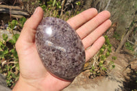 Polished Chevron Amethyst Standing Free Forms x 5 From Madagascar - Toprock Gemstones and Minerals 