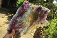 Polished Watermelon Fluorite Slice x 1 From Uis, Namibia - Toprock Gemstones and Minerals 